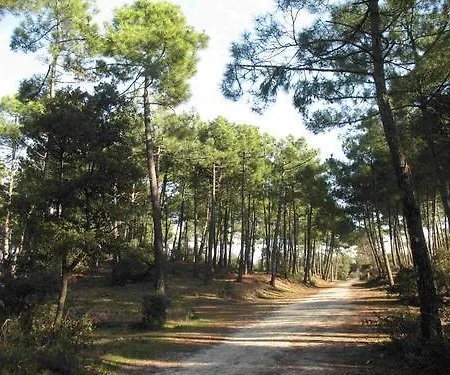 Des Dispo Juil A Dec,,,,mer A 200m ,,,,dans Le Quartier Calme De Meme En Ete,,,,espace, Nature,,,,,,,avec Ecureuils, Tourterelles