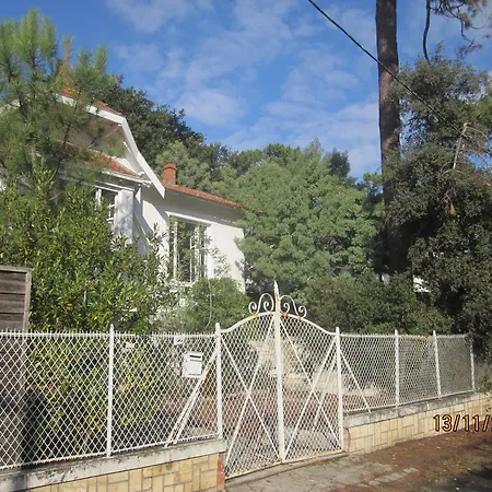 Villa Des Dispo Juil A Dec,,,,mer A 200m ,,,,dans Le Quartier Calme De Meme En Ete,,,,espace, Nature,,,,,,,avec Ecureuils, Tourterelles *