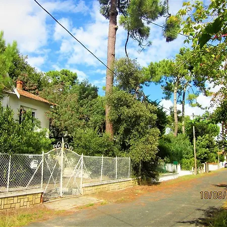 Des Dispo Juil A Dec,,,,mer A 200m ,,,,dans Le Quartier Calme De Meme En Ete,,,,espace, Nature,,,,,,,avec Ecureuils, Tourterelles