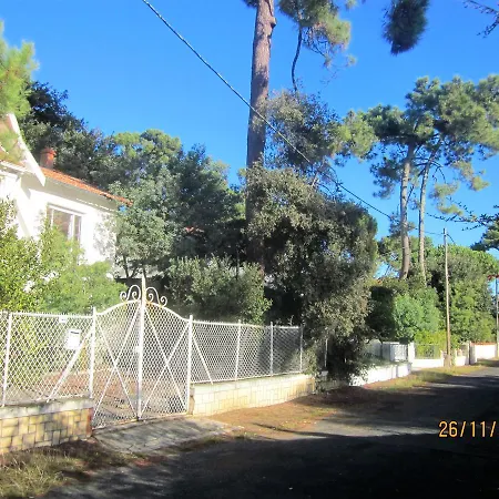 Des Dispo Juil A Dec,,,,mer A 200m ,,,,dans Le Quartier Calme De Meme En Ete,,,,espace, Nature,,,,,,,avec Ecureuils, Tourterelles Ronce-les-Bains