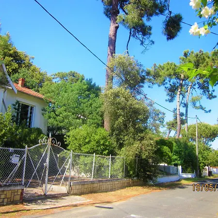 Des Dispo Juil A Dec,,,,mer A 200m ,,,,dans Le Quartier Calme De Meme En Ete,,,,espace, Nature,,,,,,,avec Ecureuils, Tourterelles Villa