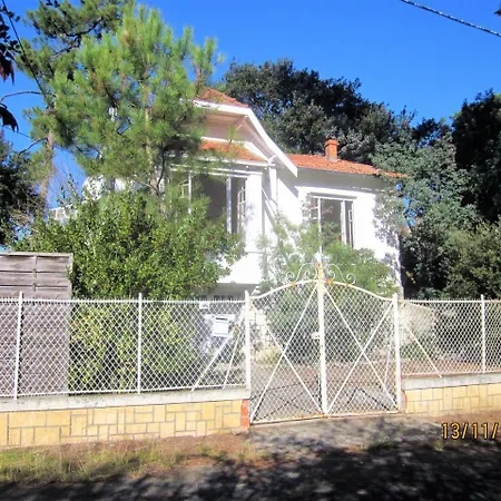 Des Dispo Juil A Dec,,,,mer A 200m ,,,,dans Le Quartier Calme De Meme En Ete,,,,espace, Nature,,,,,,,avec Ecureuils, Tourterelles Villa