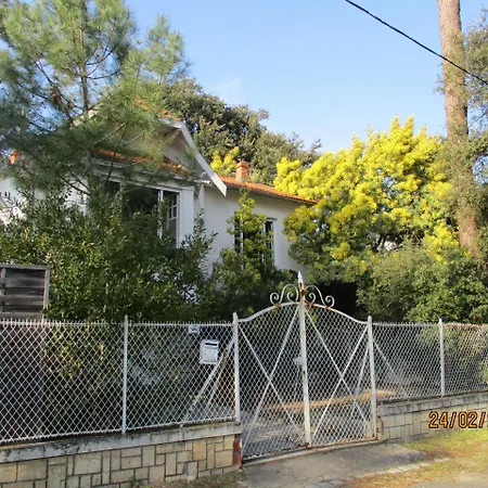 Des Dispo Juil A Dec,,,,mer A 200m ,,,,dans Le Quartier Calme De Meme En Ete,,,,espace, Nature,,,,,,,avec Ecureuils, Tourterelles Villa Ronce-les-Bains