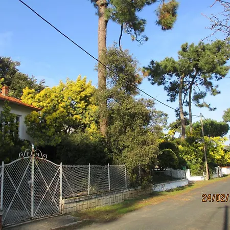 Des Dispo Juil A Dec,,,,mer A 200m ,,,,dans Le Quartier Calme De Meme En Ete,,,,espace, Nature,,,,,,,avec Ecureuils, Tourterelles * Ronce-les-Bains