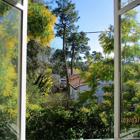 Des Dispo Juil A Dec,,,,mer A 200m ,,,,dans Le Quartier Calme De Meme En Ete,,,,espace, Nature,,,,,,,avec Ecureuils, Tourterelles Villa