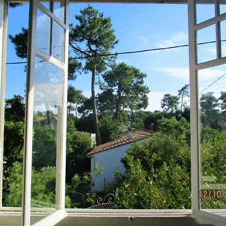 Villa Des Dispo Juil A Dec,,,,mer A 200m ,,,,dans Le Quartier Calme De Meme En Ete,,,,espace, Nature,,,,,,,avec Ecureuils, Tourterelles *