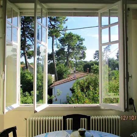 Des Dispo Juil A Dec,,,,mer A 200m ,,,,dans Le Quartier Calme De Meme En Ete,,,,espace, Nature,,,,,,,avec Ecureuils, Tourterelles Villa *
