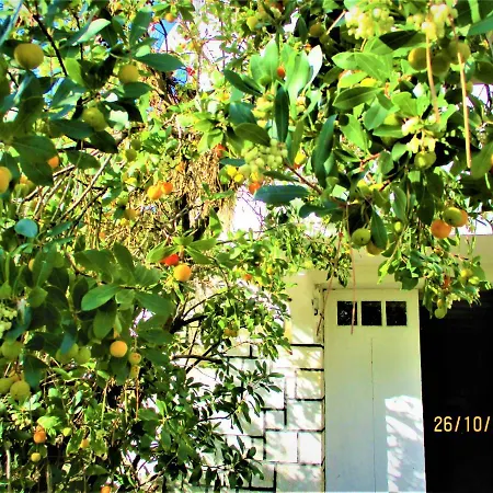 Des Dispo Juil A Dec,,,,mer A 200m ,,,,dans Le Quartier Calme De Meme En Ete,,,,espace, Nature,,,,,,,avec Ecureuils, Tourterelles Villa Ronce-les-Bains