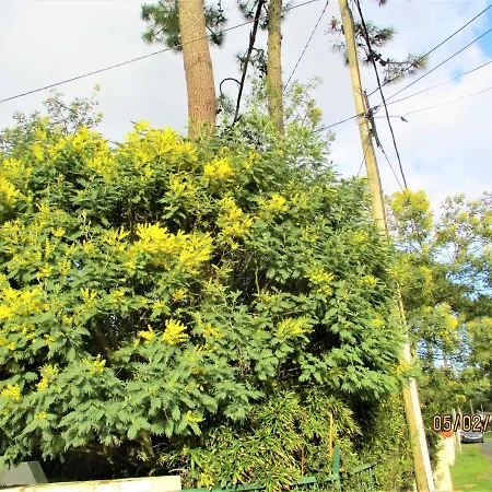 Villa Des Dispo Juil A Dec,,,,mer A 200m ,,,,dans Le Quartier Calme De Meme En Ete,,,,espace, Nature,,,,,,,avec Ecureuils, Tourterelles *